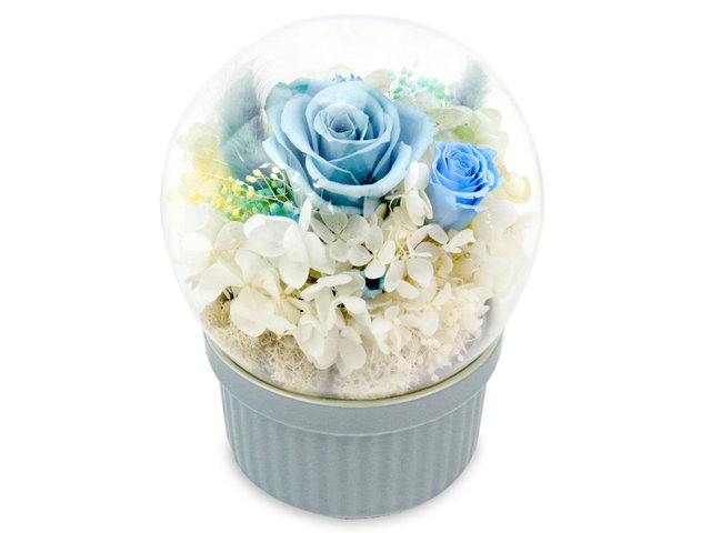 Preserved Forever Flower - Music Box Preserved Flower M36 - L36515393 Photo